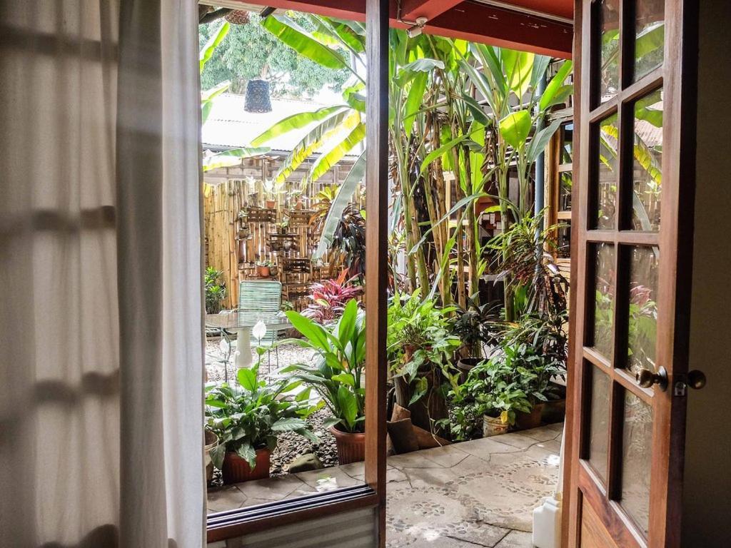 Casa De Palos Boutique Tarapoto Exteriör bild