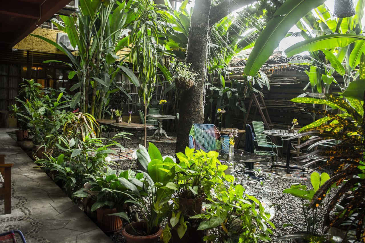 Casa De Palos Boutique Tarapoto Exteriör bild